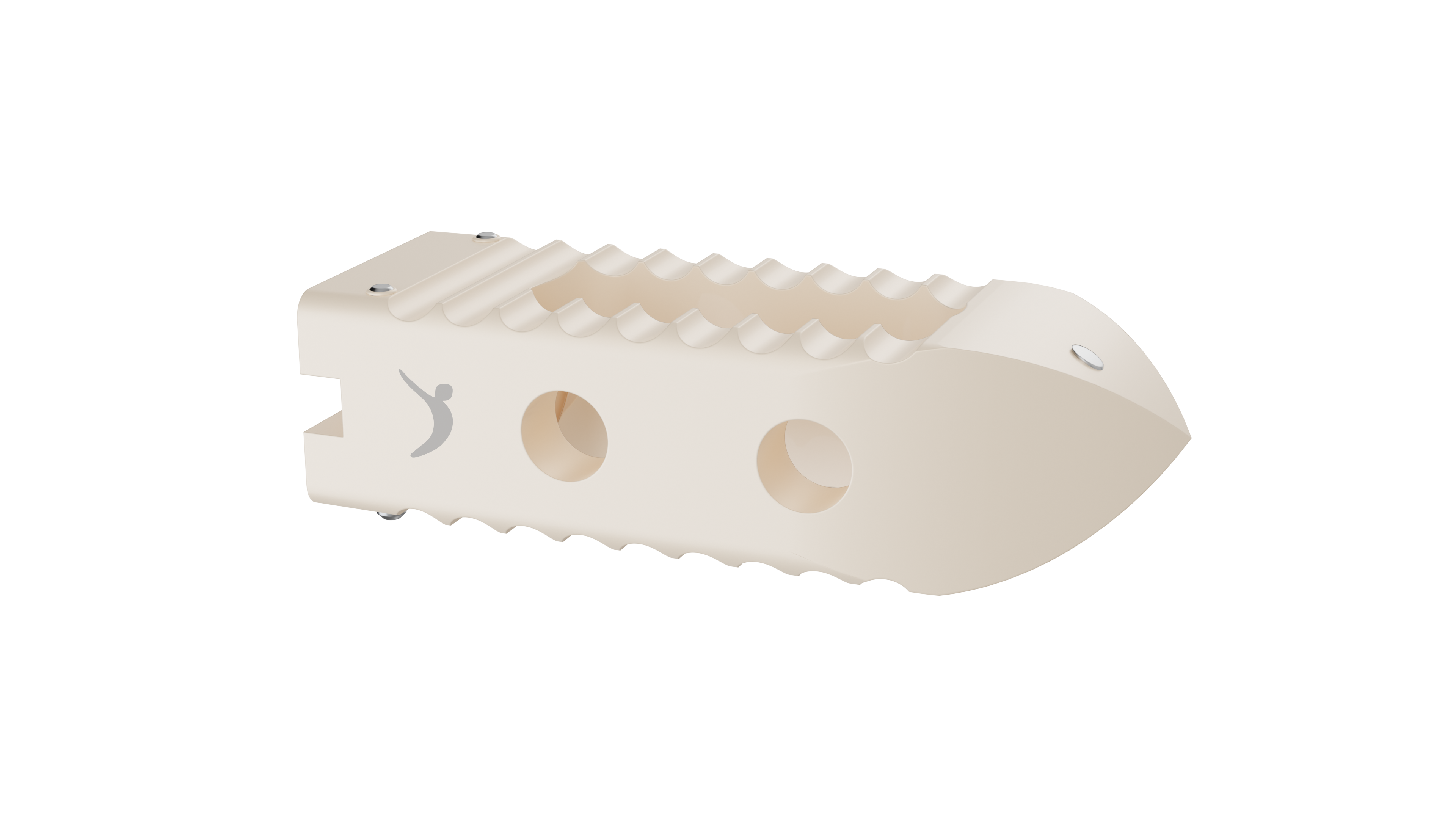 Lumbar Fusion PLIF PEEK Cage